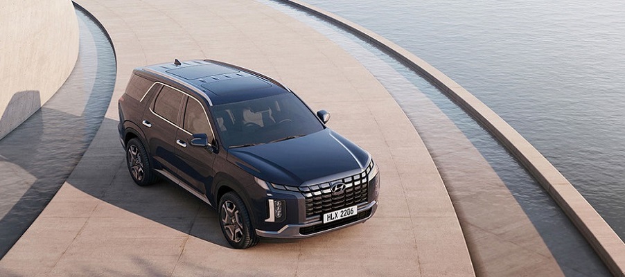 THE NEW PALISADE